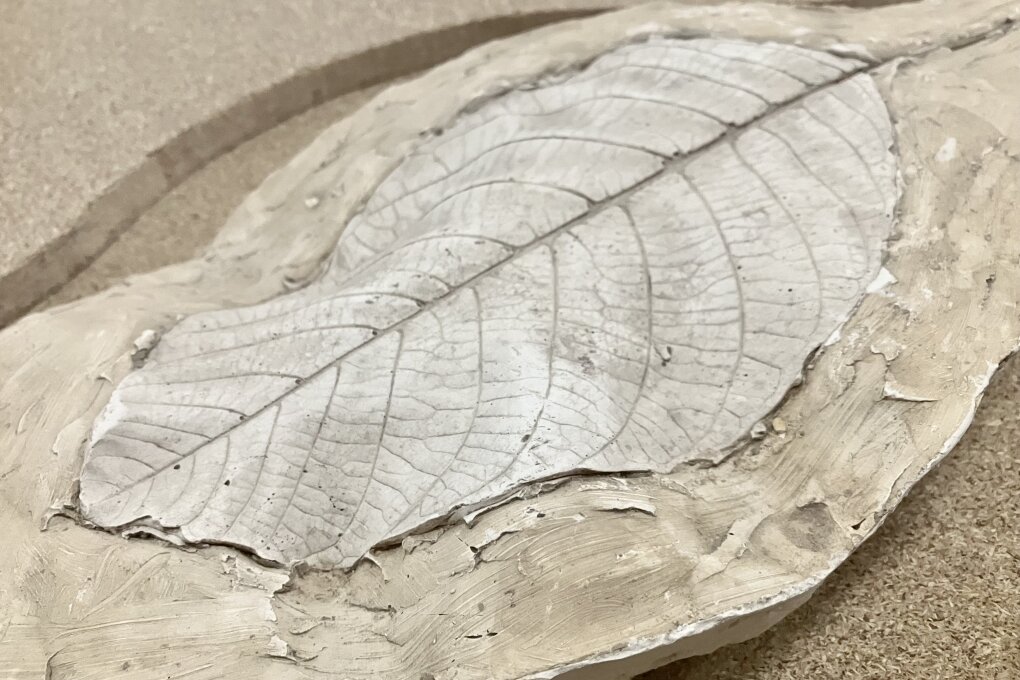 Pro mě v&nbsp;Domě v&nbsp;otisku